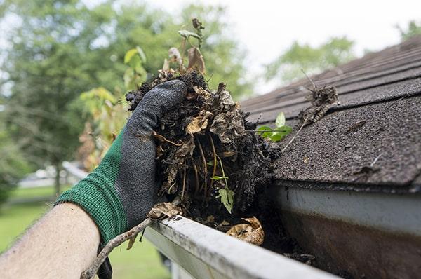 regular gutter cleaning can improve the appearance of your home by preventing unsightly buildup and water stains on the exterior